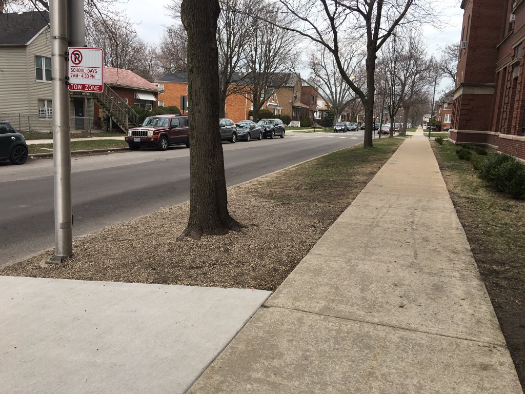 Bronzeville Green Landscaping tweet media