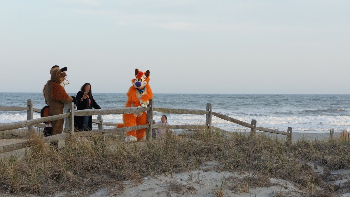 thecoopertom's tweet photo. With the last few minutes of good light dwindling, I tried to get a really nice shot but this lady proceeded to stand there and hang out on her phone after she took pictures with her daughter. Eventually I just gave up. Can't win them all. https://t.co/yQLkb3A9dg