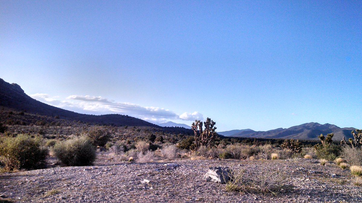 AdventuringArt's tweet photo. Out in the middle of the #desert west of #vegas painting all day every day #adventuringart  #lovellcanyon #vanlife https://t.co/d4s4vhSKor