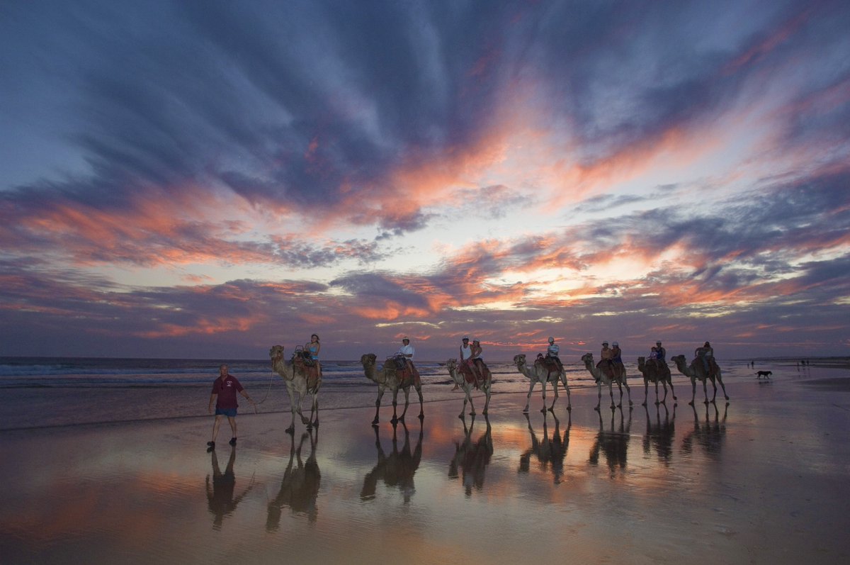 PortStephens tweet media