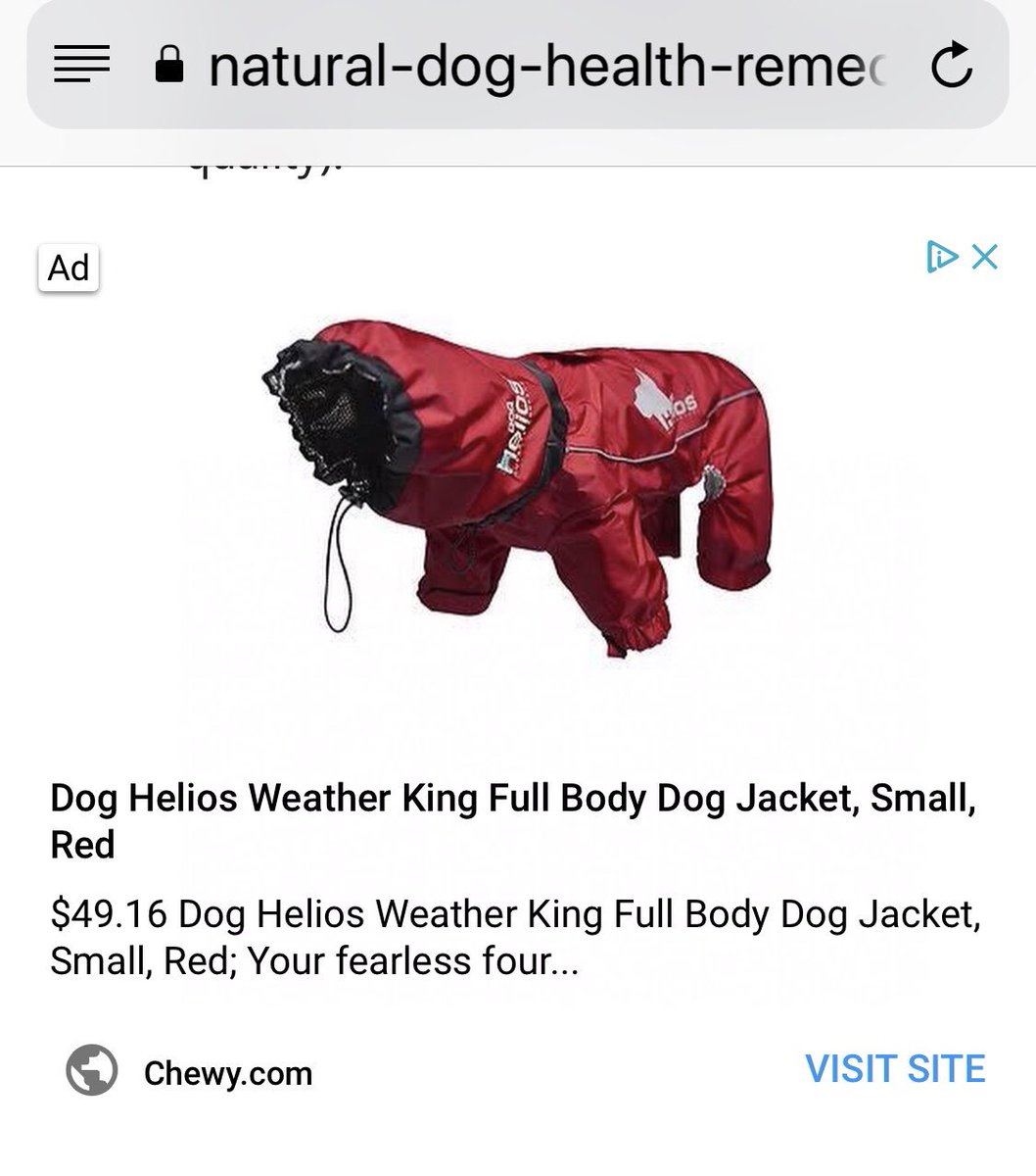 DachDiaries's tweet photo. #GrahamCrackersThePup said he wanted this jacket! It’s his color &amp; it’s pretty cool. 😎 (seeing he’s not a fan of the rain &amp; we use have a big ☂ he NEEDS it!!) They don’t make raincoats like they use to &amp; this one seems worth it! 💪🏼 #DachDiaries https://t.co/adOIJkUqmx