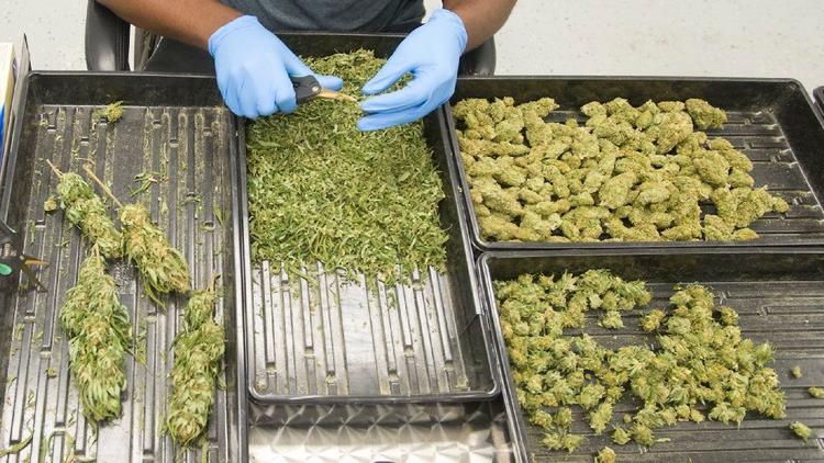 THEMMEXCHANGE's tweet photo. Pennsylvania  approves sale of marijuana 'flower,' and will allow cannabis to treat opioid addiction 

https://t.co/cEDVUEd33O #MME #Marijuana #cannabis #Medicalmarijuana #PA #Pennsylvania https://t.co/j2wNxlYpY0