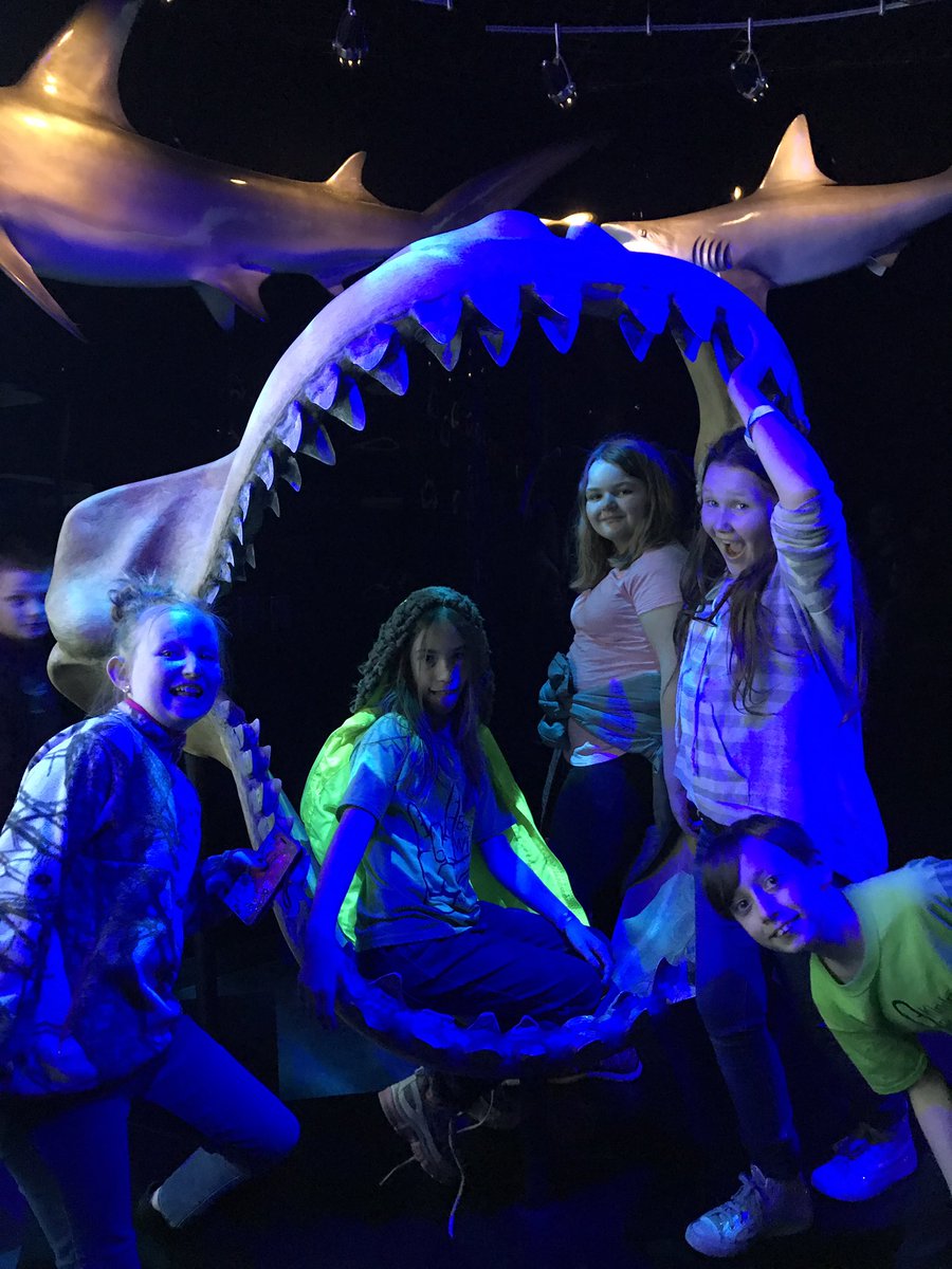 mrs_pitts4's tweet photo. Field trip to Wonders of Wildlife Aquarium in Springfield, MO. Favorite quote of the day, "This is EPIC! Thanks for taking us Ms. Pitts!" https://t.co/rbPo9HVq3s