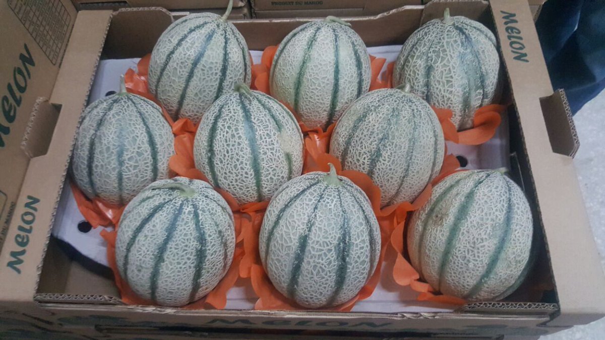 We are a packing and conditioning station. We carry out import, export and distribution in local markets and international markets for Fresh and Frozen Fruits and Vegetables.