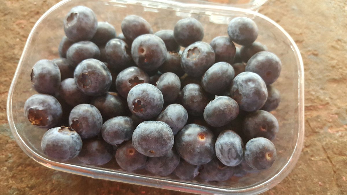 Earth Products Import Export s.a.r.l. (@madihit) on Twitter photo 