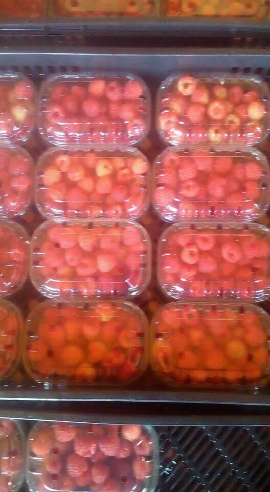 We are a packing and conditioning station. We carry out import, export and distribution in local markets and international markets for Fresh and Frozen Fruits and Vegetables.