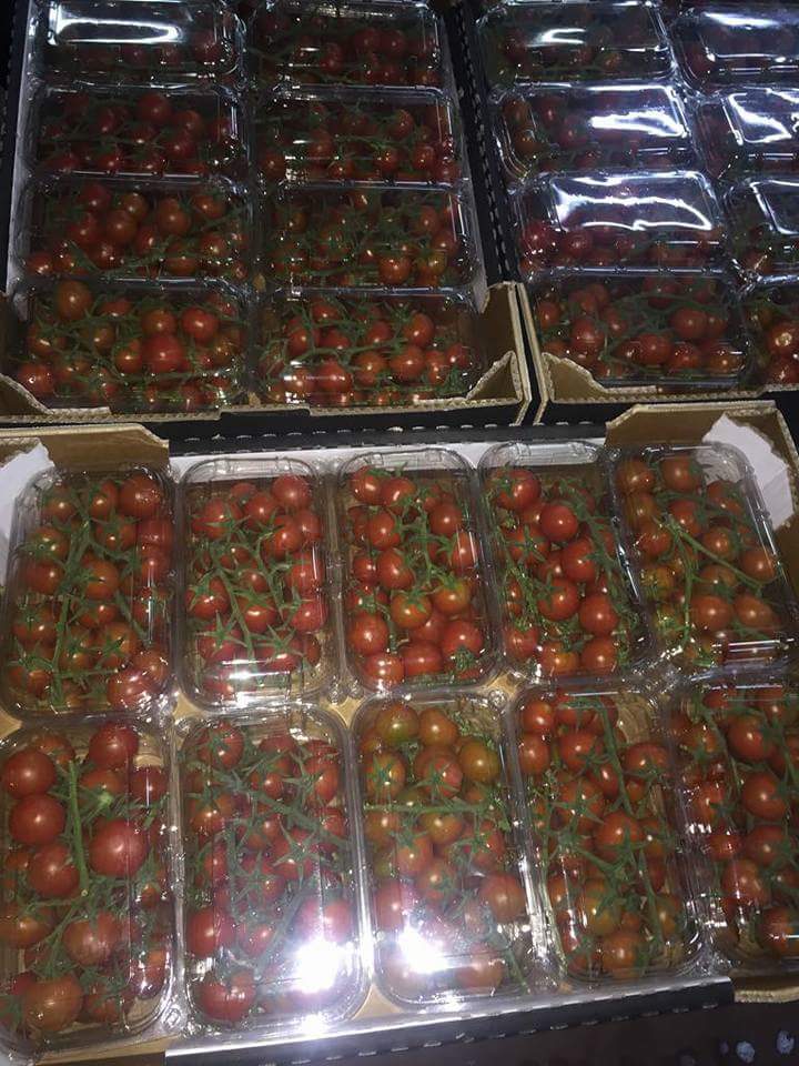 We are a packing and conditioning station. We carry out import, export and distribution in local markets and international markets for Fresh and Frozen Fruits and Vegetables.
