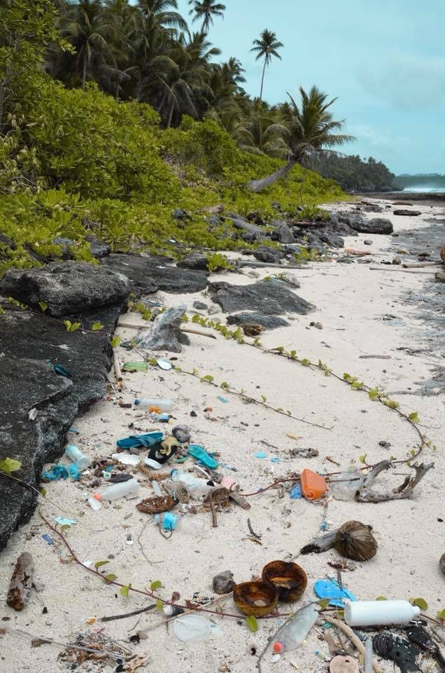 #nowords #plasticpollution #environment