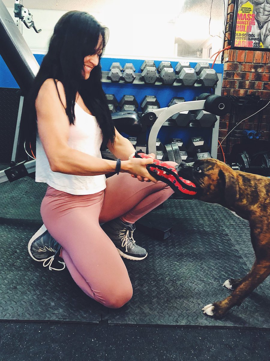 FitCrystalRockZ's tweet photo. Working out with her makes my workouts more fun. 💪🏼💋🐶 #BoxerDogs #MyGirl #TugOWar 
✅streaming again this Wednesday! 💯 https://t.co/KaGBYe5uQ7