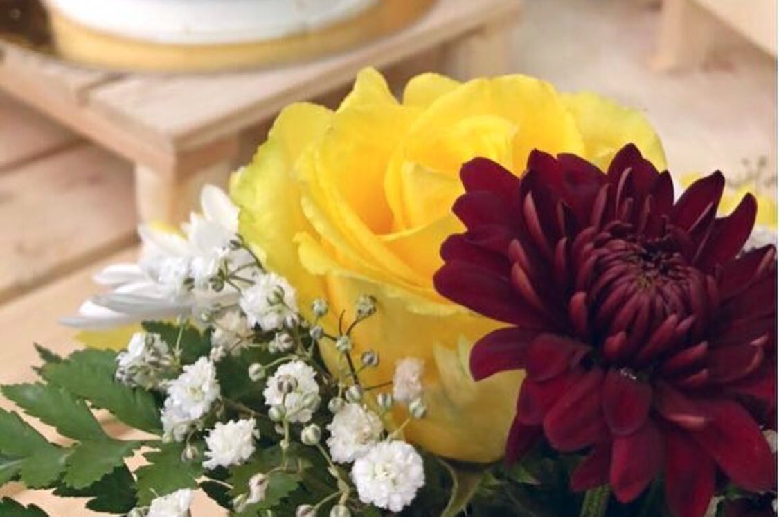 صْباح الِـخير 
عسْاك بدنيتي تبقى ، بداية مالها أخر ❤️