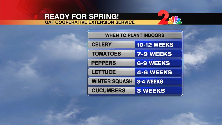 AKNewsNow's tweet photo. Are you eager to get started with Spring gardening? Here are some veggies you can start inside now.

https://t.co/uXhGLLQk8g https://t.co/5hfLATh8eg