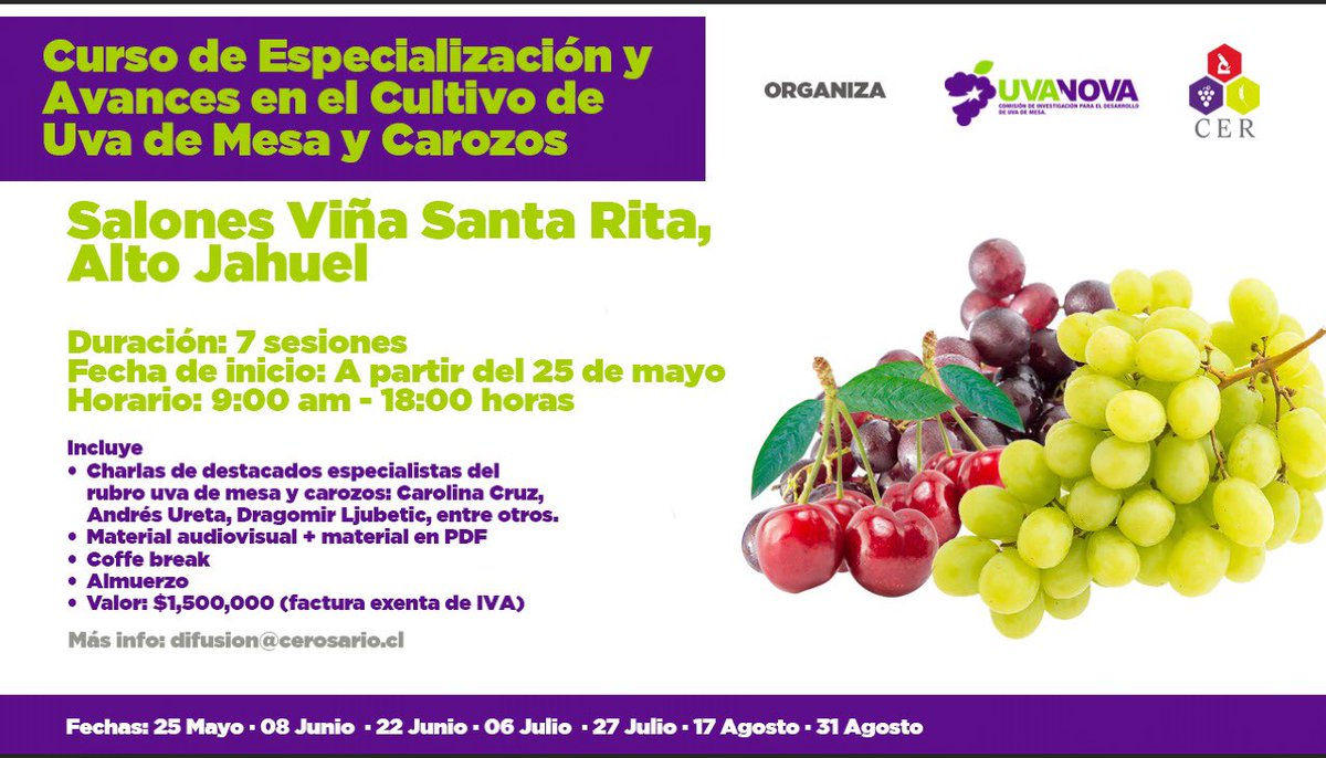 UvanovaChile's tweet photo. Más info en https://t.co/b3jFCy78iw 

#uvademesa #carozos #uvanova #cer https://t.co/94yAziwpQR