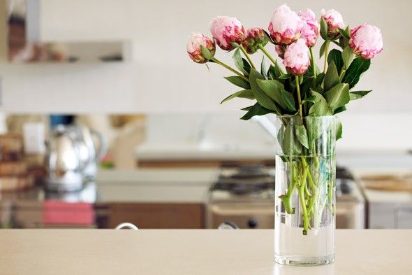 pad_rent's tweet photo. Finally. The nice weather is here! Why not add some fresh flowers in to your home to match the ☀️. It makes all the difference 👌
.
.
.
#padrentalclub #pad #londonliving #homedecor https://t.co/eABsCmIDAe