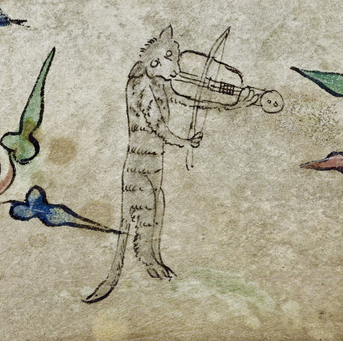 DamienKempf's tweet photo. When my cat decides it is time for me to wake up
[BL, Harley 6563] https://t.co/ozbLhClBn9