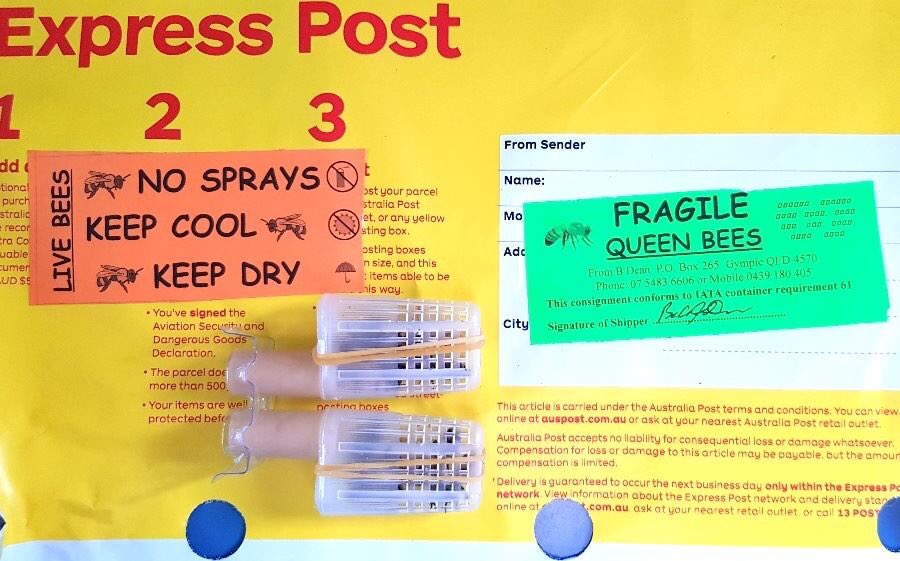 We just received a special delivery 🐝 Did you know there's a special postal service for #bees ? Visit our live bee show to find out why 😉