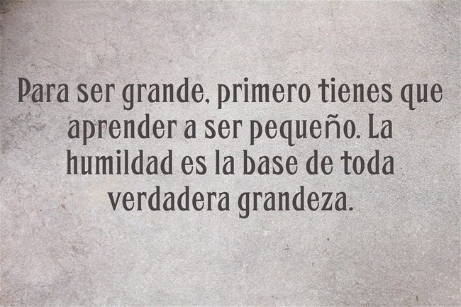 BelenArcones's tweet photo. Para ser grande, 
primero tienes que aprender a ser pequeño...
#aprendizaje #humildad #nobleza https://t.co/q01VilMNn7