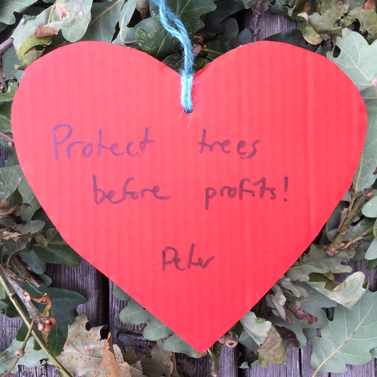 sj_unwin's tweet photo. 💚Day 63💚of Vernon’s 💚#showthelove💚#ValentinesDay celebration heart messages “Protect trees before profits! Peter” #StandWithVernon @SAVEDORETREES #SaveSheffTrees #TheWorldIsWatching #NoMoreFelling #StandUpForTrees https://t.co/Xpw1Bl5lvq