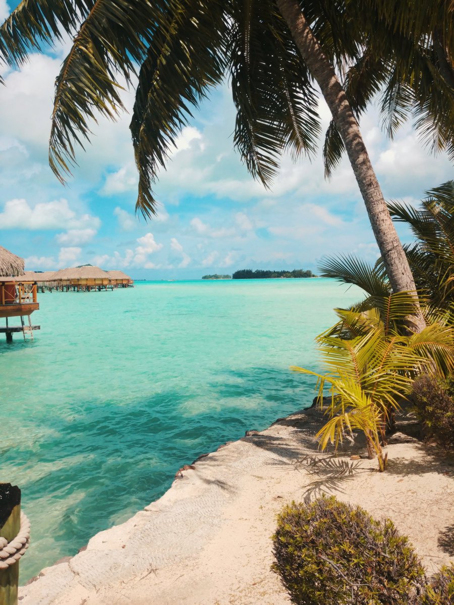 Miss_Witt_'s tweet photo. i only come on here to post pics. #BoraBora https://t.co/eG6uEpfwPw