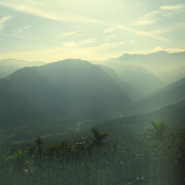 • Up there • #taiwan #alishan #tea #coffee #sunrise #mountain