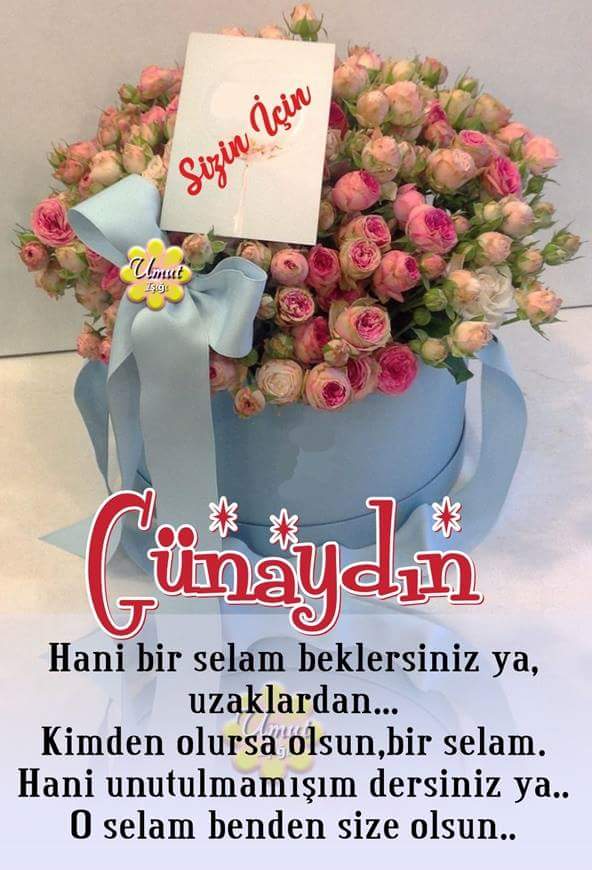 Merhamet ne güzel şeydir değil mi En çirkin insanı güzel en yoksulunu zengin eder.Allah tüm canlıların kalbine merhamet tohumlarını ekmiştir. Önemli olan hangimizin bu tohumları büyüttüğü, hangimizin su bile vermeden kurumasını izlemesidir.hayirli sabahlar