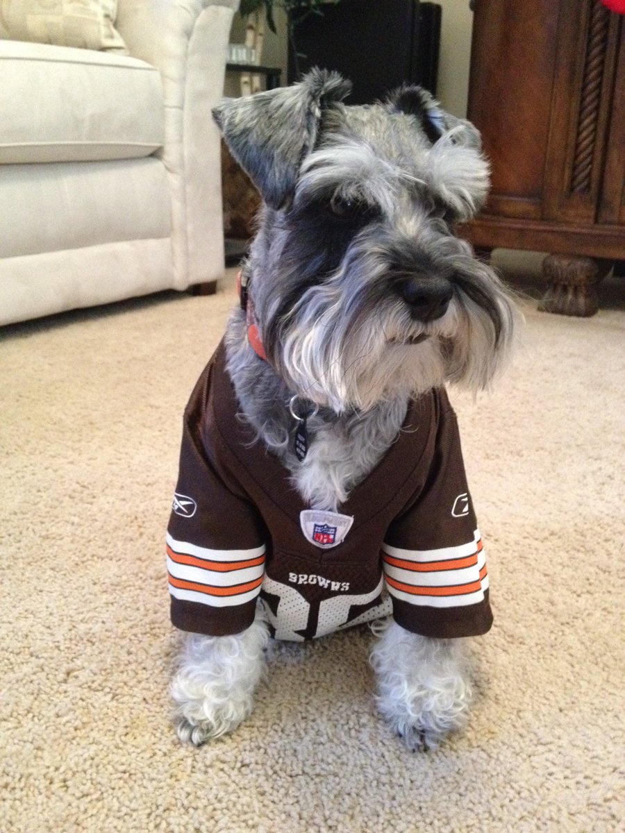 dog browns jersey