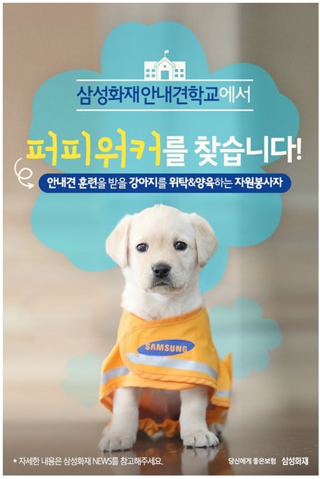 MydognSamsung's tweet photo. #안내견 삼성화재안내견학교에서 퍼피워커를 모집합니다. (RT부탁드려요)
자세한 내용은 블로그를 참고해주세요^^ https://t.co/JahpnDLTdS https://t.co/Of7ratCMy0