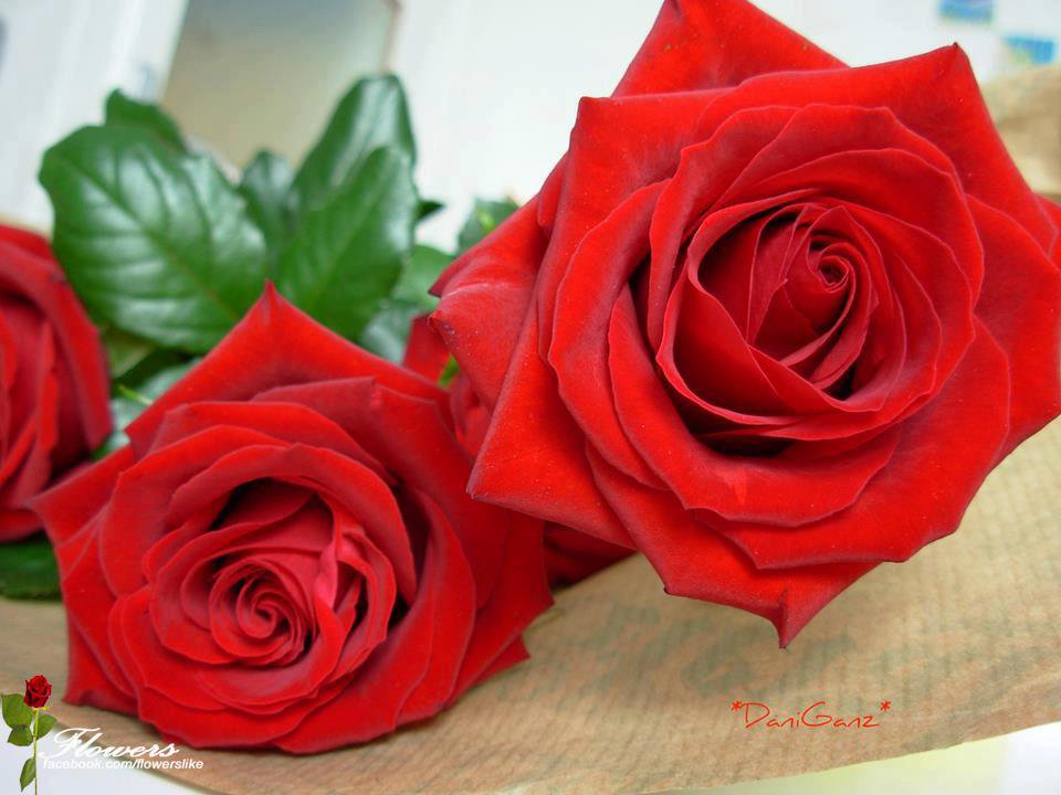 <a href="/Mehmed56019723/">Mehmed Nedzo</a> <a href="/Sharuana/">Shari</a> <a href="/eng30june/">the engineer</a> @LindaflorDrika <a href="/AbdellahBeladel/">Abdellah Beladel</a> <a href="/Luviemuch/">Laluvu</a> @marioma01411696 <a href="/KuljuTommi/">Tommi Kulju</a> <a href="/monicasloves/">Monica Cates</a> <a href="/nico_gaia/">NicoGaia (Nicoletta) Cookie 🐈‍⬛💞</a> <a href="/ronald9807/">Too Much</a> @SAvizari <a href="/sherilw62/">🌼 Sheri 🤗🌼</a> <a href="/AhmetTuran53/">Ahmet Turan 🇹🇷</a> @ubaidbms <a href="/paparosso60/">Alexandra</a> <a href="/borgesalexandr5/">Patric123</a> <a href="/aslan_hitco/">Sherwan Omer</a> <a href="/lilian8090/">Lilian2020</a> @pastoracidamel1 <a href="/melli_vanderlei/">Pastor Vander melli</a> <a href="/CitlalyMeraz/">🌸Citlaly🌸</a>