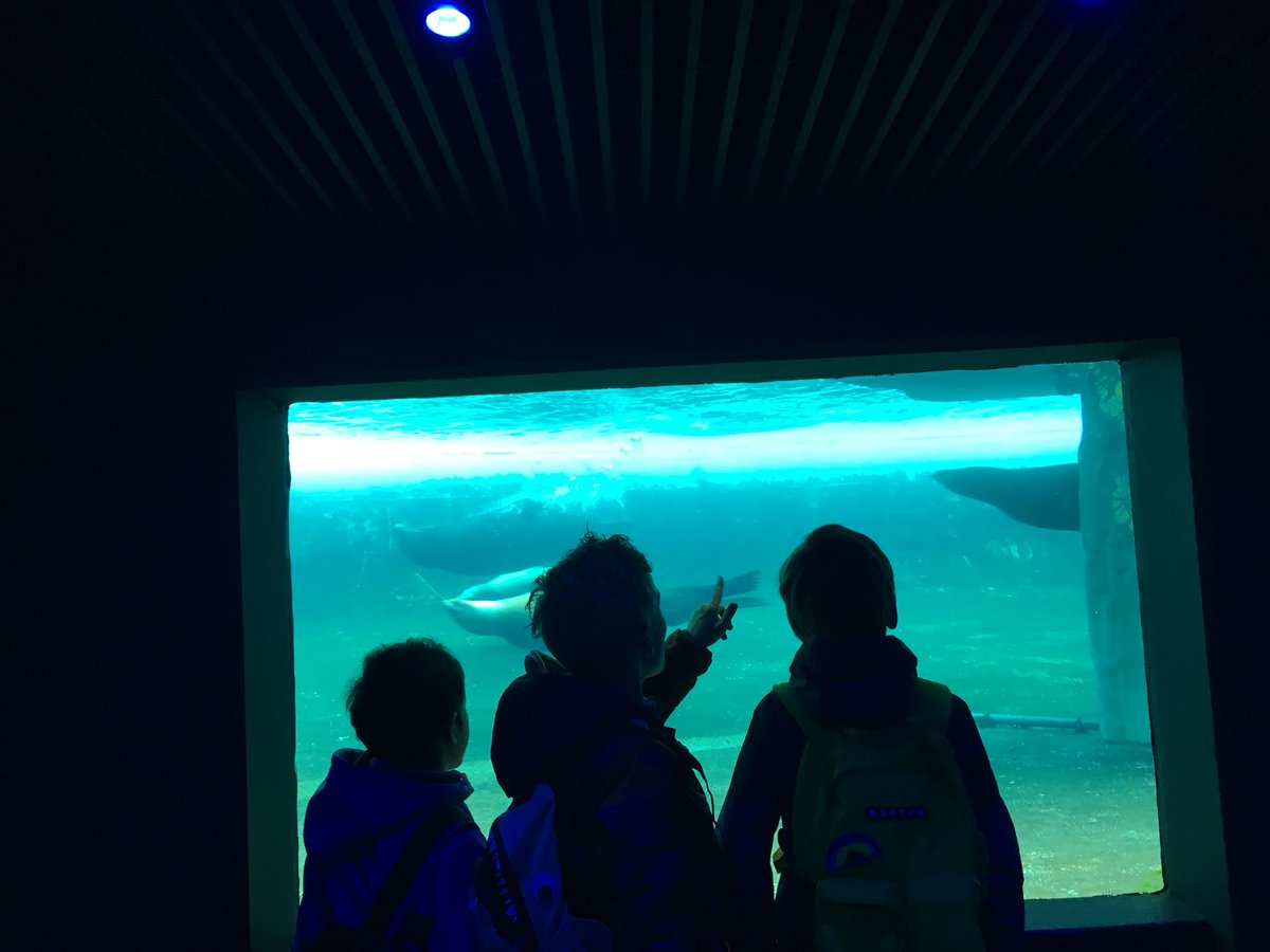 amstelschool's tweet photo. Groep 4 is een dagje naar Artis. Net een ontzettend gave ruimtereis gemaakt in het Planetarium. https://t.co/MEkQbAuzor