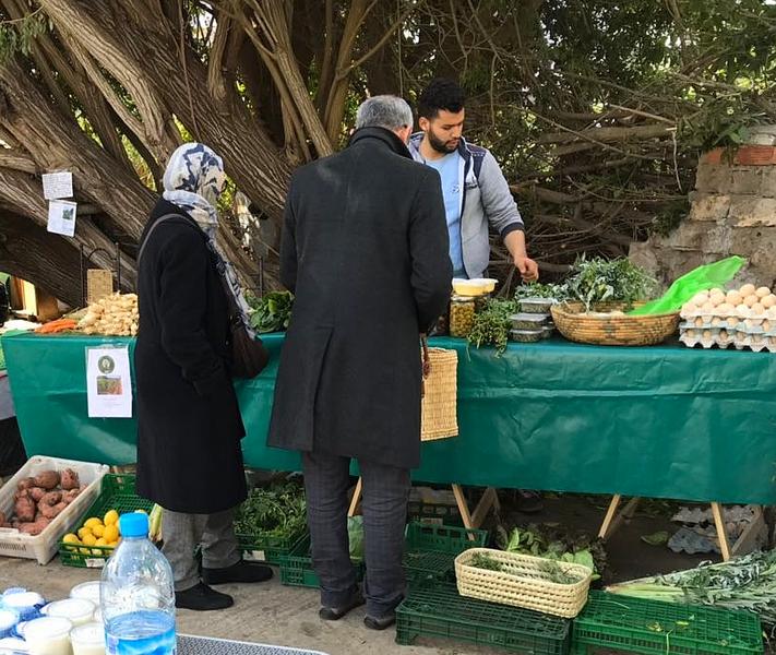 Cirad's tweet photo. CIRAD is supporting the launch of participatory #certification of farms practising #agroecology in #Morocco. Such systems are 10 to 20 times cheaper than conventional certification systems, and are also supported by the FAO #ZeroHunger #SDGs #AR4D https://t.co/HdWjKJr8MO https://t.co/NesloIuzjp