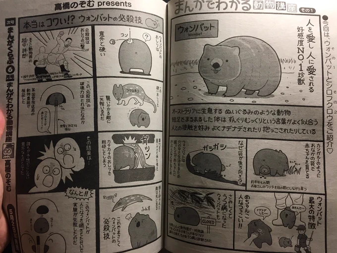 【告知】
4/4発売のまんがくらぶに
「まんがでわかる動物講座」
掲載されております
今まで追って読んで頂いた方には分かるかもしれませんが
ちょっとスタイルを変えました
新生・動物講座を今後ともよろしくお願いいたします
今回はウォ… 