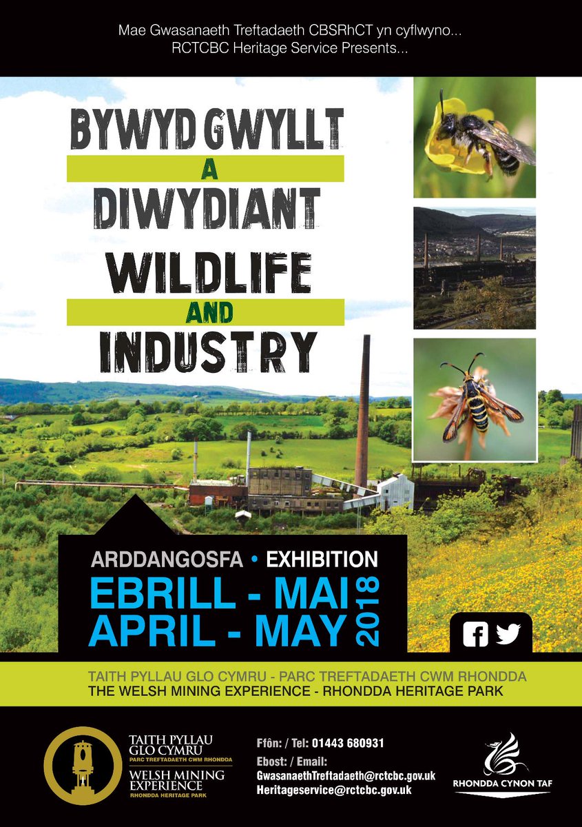 Looking for an Easter holiday activity? Why not visit the Wildlife &amp; Industry Exhibition at <a href="/RhonddaHeritage/">Taith Pyllau Glo Cymru | Welsh Mining Experience</a>, which includes information about <a href="/GillhamArchives/">Mary Gillham Archive</a> and <a href="/collieryspoil/">Colliery Spoil Biodiversity Initiative</a>. This free exhibition is open until the end of May.