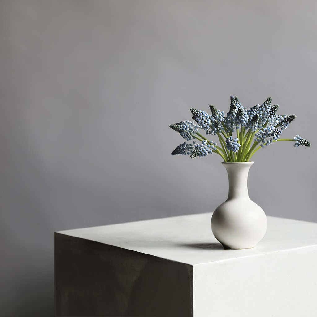 mcqueensflowers's tweet photo. "What they lack in size they make up for in punch, and they are a firm annual favourite at McQueens from January right through to April." Our thoughts on one of spring's most delicate and understated flowers, #Muscari. https://t.co/PPJBx8RiW3 #McQueensTheBlog https://t.co/JwvfPO1TAl