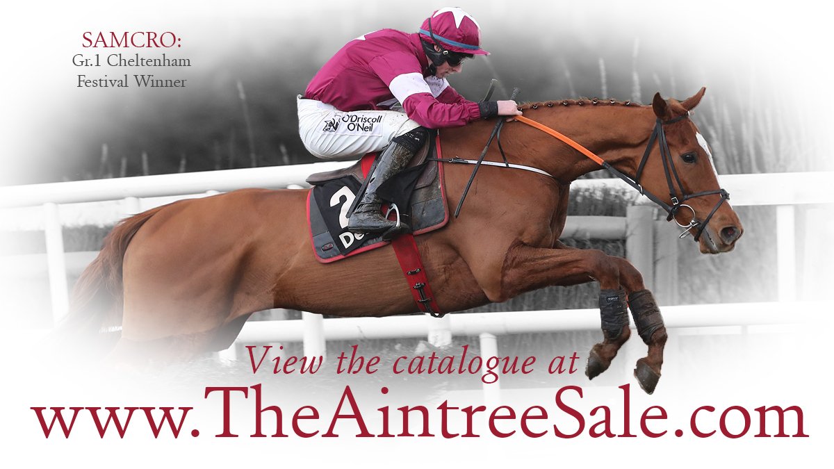 Goffs UK tweet media