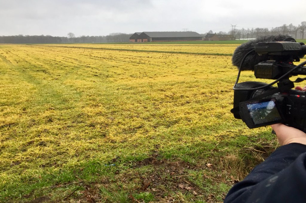 Vandaag op <a href="/omroepbrabant/">Omroep Brabant</a> aandacht voor de 'gele lente'. De gifvelden van Monsanto en Bayern. Slecht voor plant, dier en mens, dat kan en moet anders! Veel boeren geven juist goede voorbeeld door glyfosaat niet te gebruiken