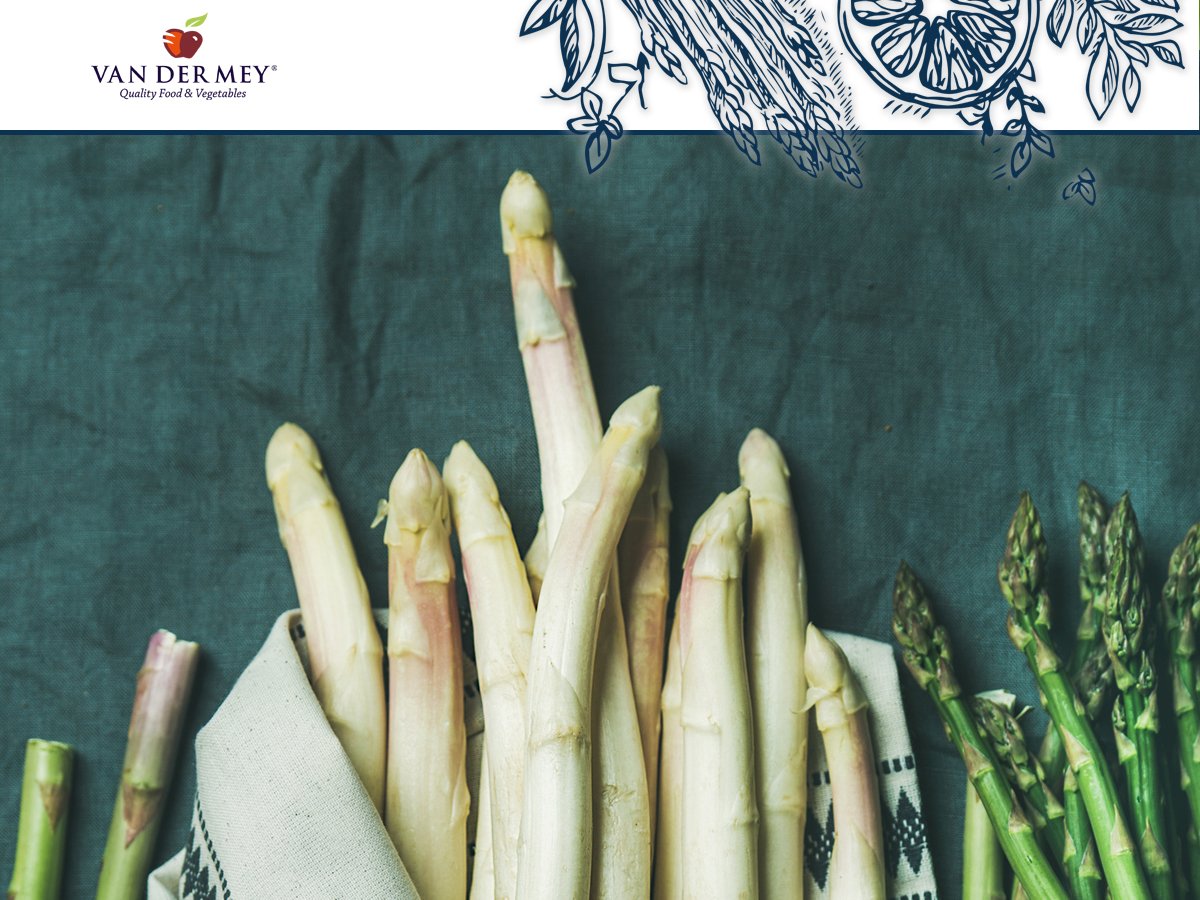 vanderMeyQFenV's tweet photo. Het seizoen van de asperge is weer officieel geopend! Gaat u voor de originele variant met ham, aardappelen en botersaus, of kiest u de Van der Mey versie waarin uw ze grilled en in een fritatta met doperwtjes serveert? https://t.co/idqcL68gBr