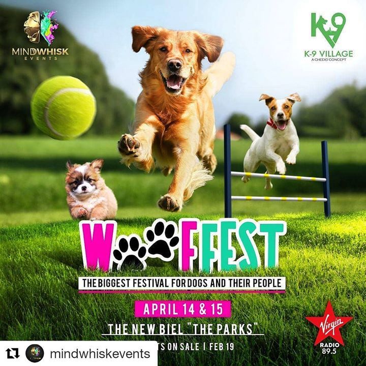 PawPots's tweet image. Meet us at the Wooffest on April 14 &amp;amp; 15!!! (we mean your dog 😉).
You'll have the chance to try PawPots for FREE!!

#realfoodfordogs #healthydog #foodfordogs #dogfood #happydog #lebanondogs #pets #dogtraining
#pawpots #dog #dogs #instadog #dogstagram #dogsofinstagram #doglov…