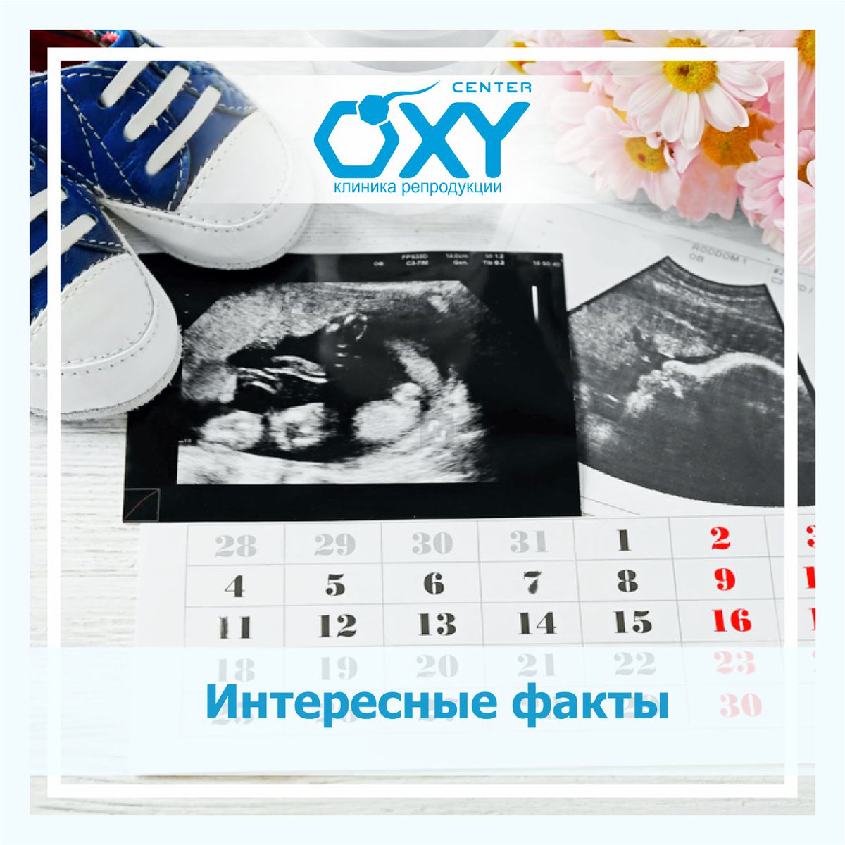 Интересные факты о беременности и зачатии
👇👇👇
vk.com/oxy_center?w=w…
