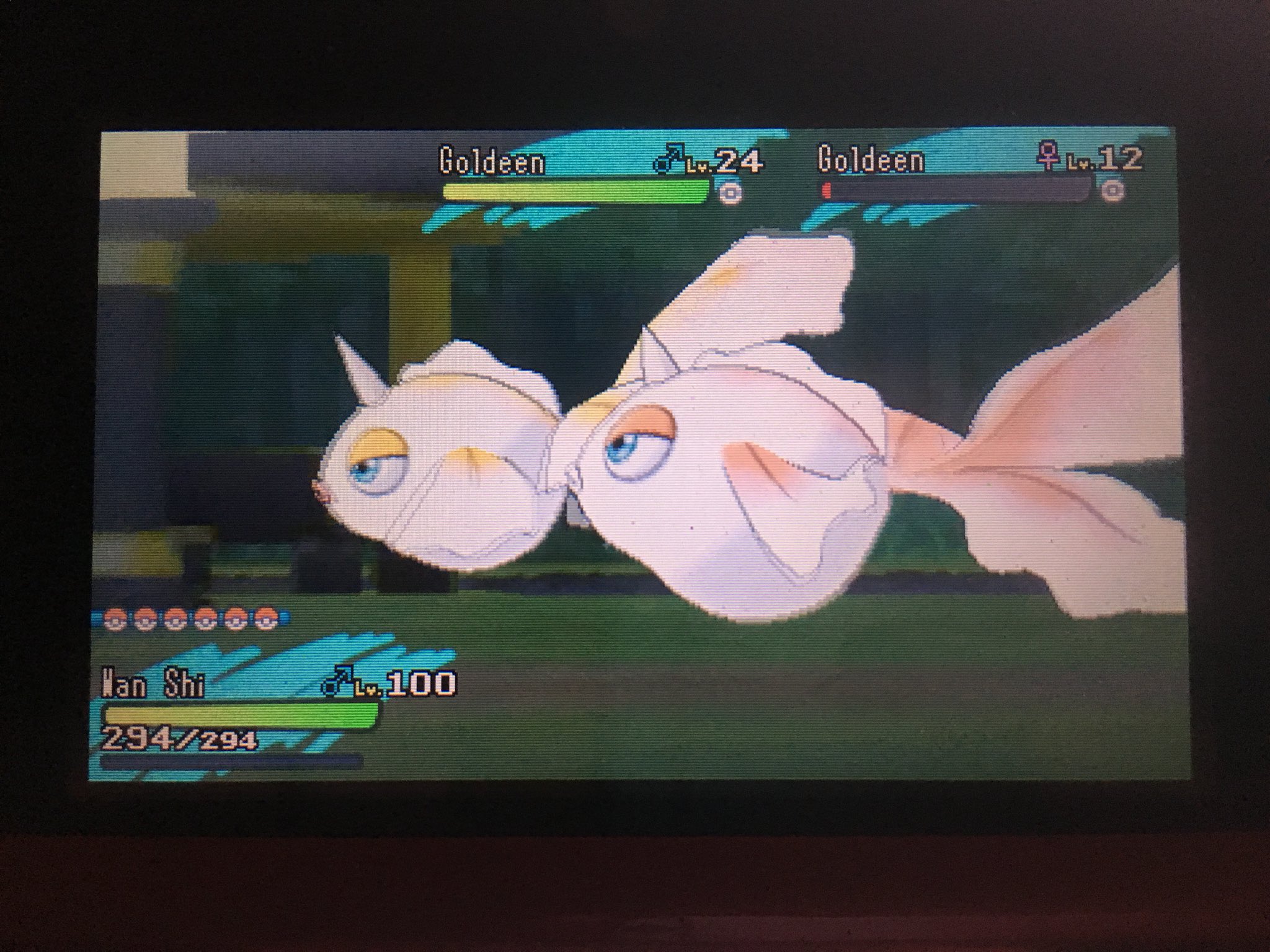 Sc4rf4ce Noriega Shiny Goldeen In 290 Sos Encounters In Pokemon Moon Teambrave Etsgaming Sc4rf4ce Noriega Shiny Goldeen In 290 Sos Encounters In Pokemon Moon Teambrave Etsgaming