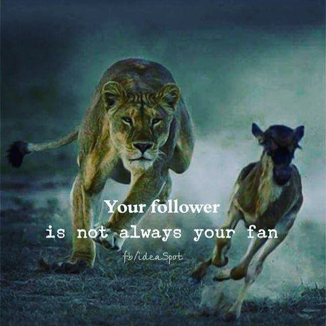 Do you follow me?
😂