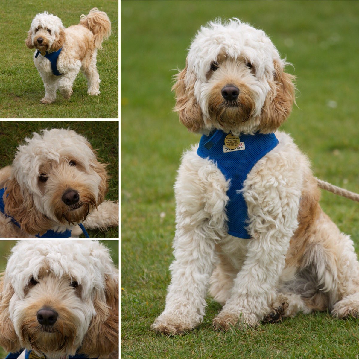 Ted Dale tweet media