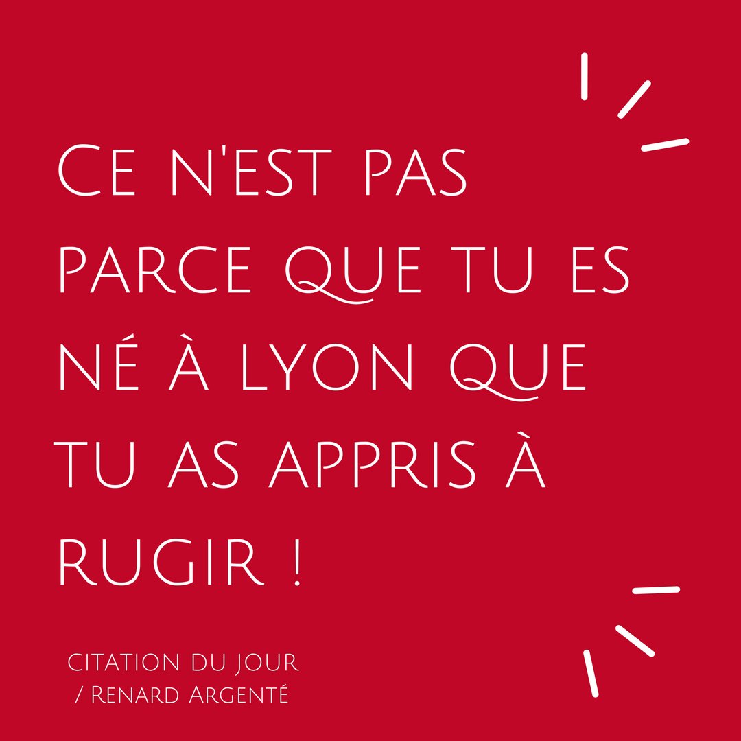 Bonne semaines les lionceaux ! 😜