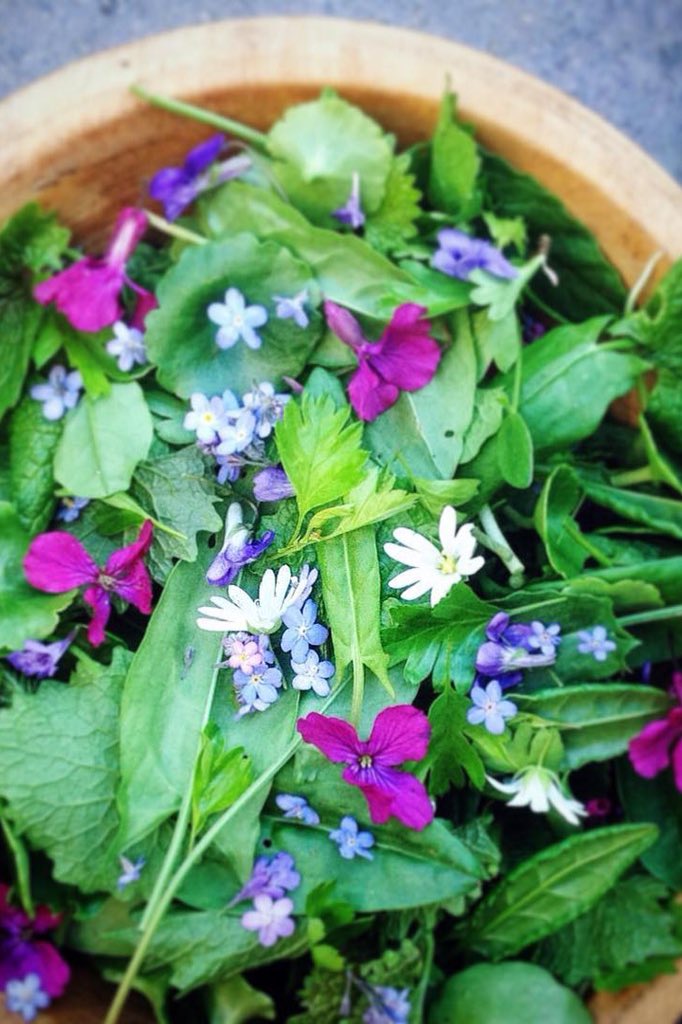 wildpickings's tweet photo. Still a few places left on my wild Spring greens workshop @theatrbydbychan on Sat 14th April https://t.co/EMienJmNPB