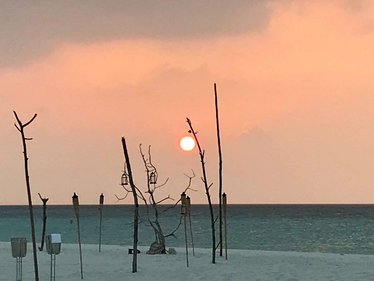 DiVineCellars's tweet photo. Michelin Star Chef, Fulvio Siccardi's wine dinner held at #Hurawalhi Resort https://t.co/8DZQr6X8Oc