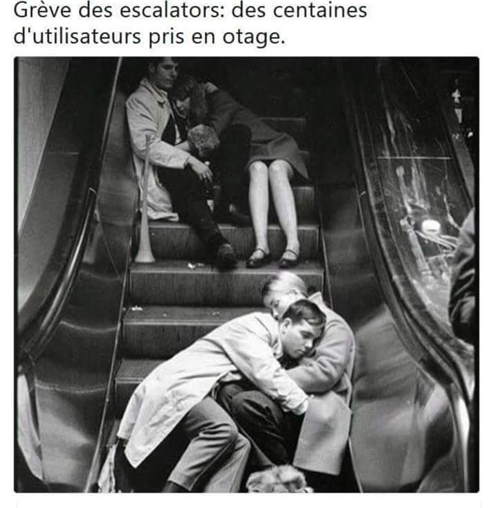 Pingtoff's tweet image. 