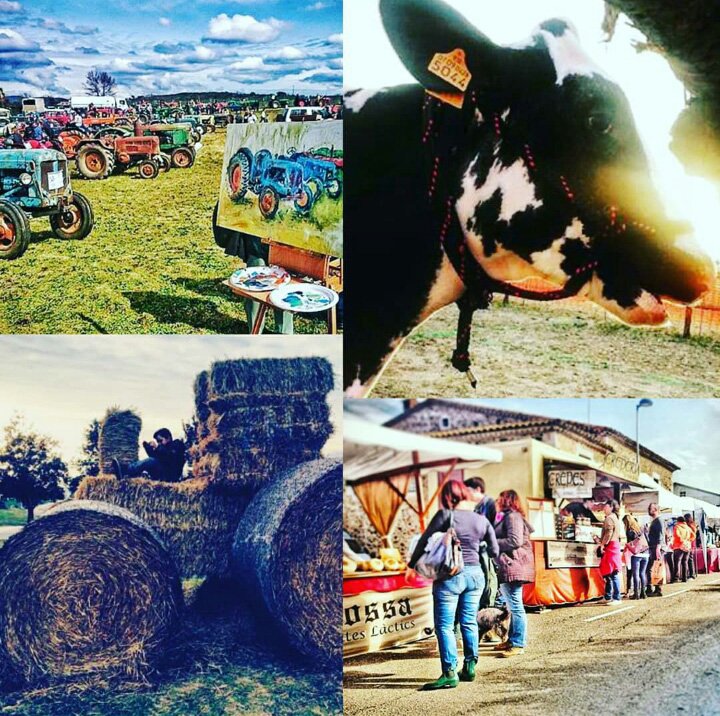 FiraCampllong's tweet photo. Paradetes i ambient, concursos, bestiar, maquinària, artesans, gastronomia, Encargola't, vehicles clàssics, zona infantil, mostres, exposicions,... I MOLT MÉS!! Ja només queden 2 dies!Us hi esperem!! https://t.co/AHcVLgevKR