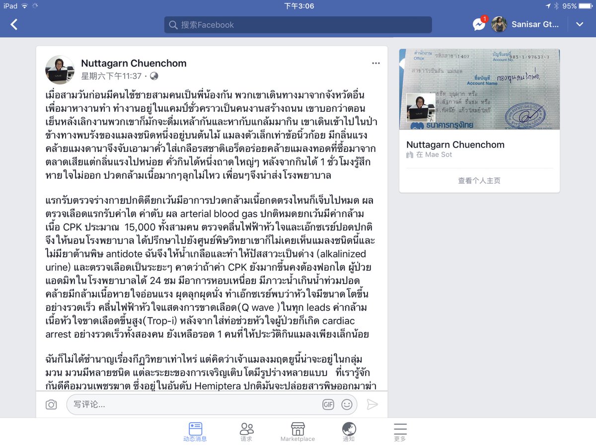 กต.เอง💜 tweet media