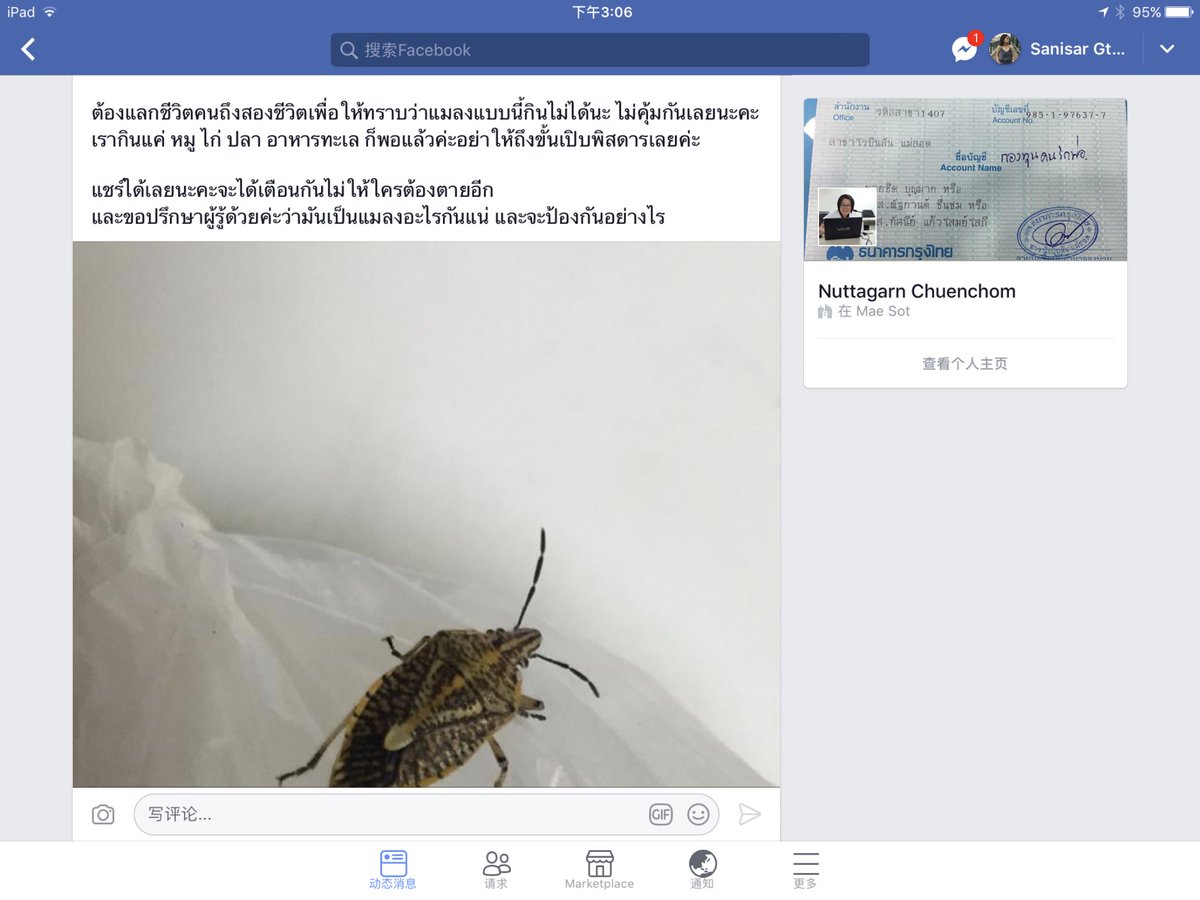 กต.เอง💜 tweet media