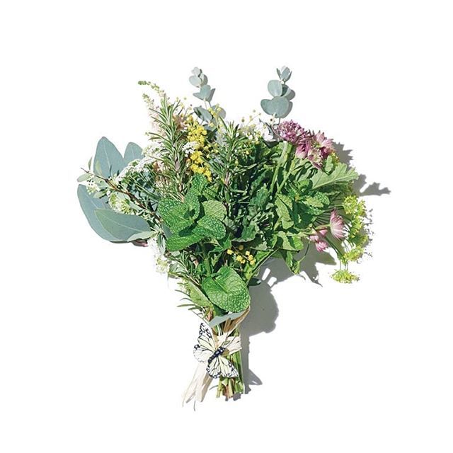 日本アロマ環境協会 Aeaj A Twitter すっかり春の陽気ですね 春のハーブでブーケを作ってみませんか お好みのハーブを集めて 麻紐などでくくるだけ 香りを楽しみながら そのままドライフラワーにするのも素敵ですね ハーブブーケ Aeaj Herbbouquet