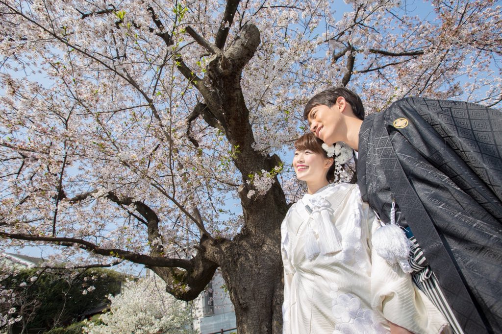 ryuujapan_t's tweet photo. 先日のウエディングのデータすごく嬉しい✨いい写真たくさんあるので、またアップします(^^)
川越 #ウエディング はなな結びさんがおススメですよ〜！！ #スーパーjチャンネル の取材も入りました！！
#photographer @LifaKon 
#モデル @ryuki_tobo 
H&amp;M 高山まな
#和装 #なな結び #和装婚 https://t.co/cMivaEtSxZ