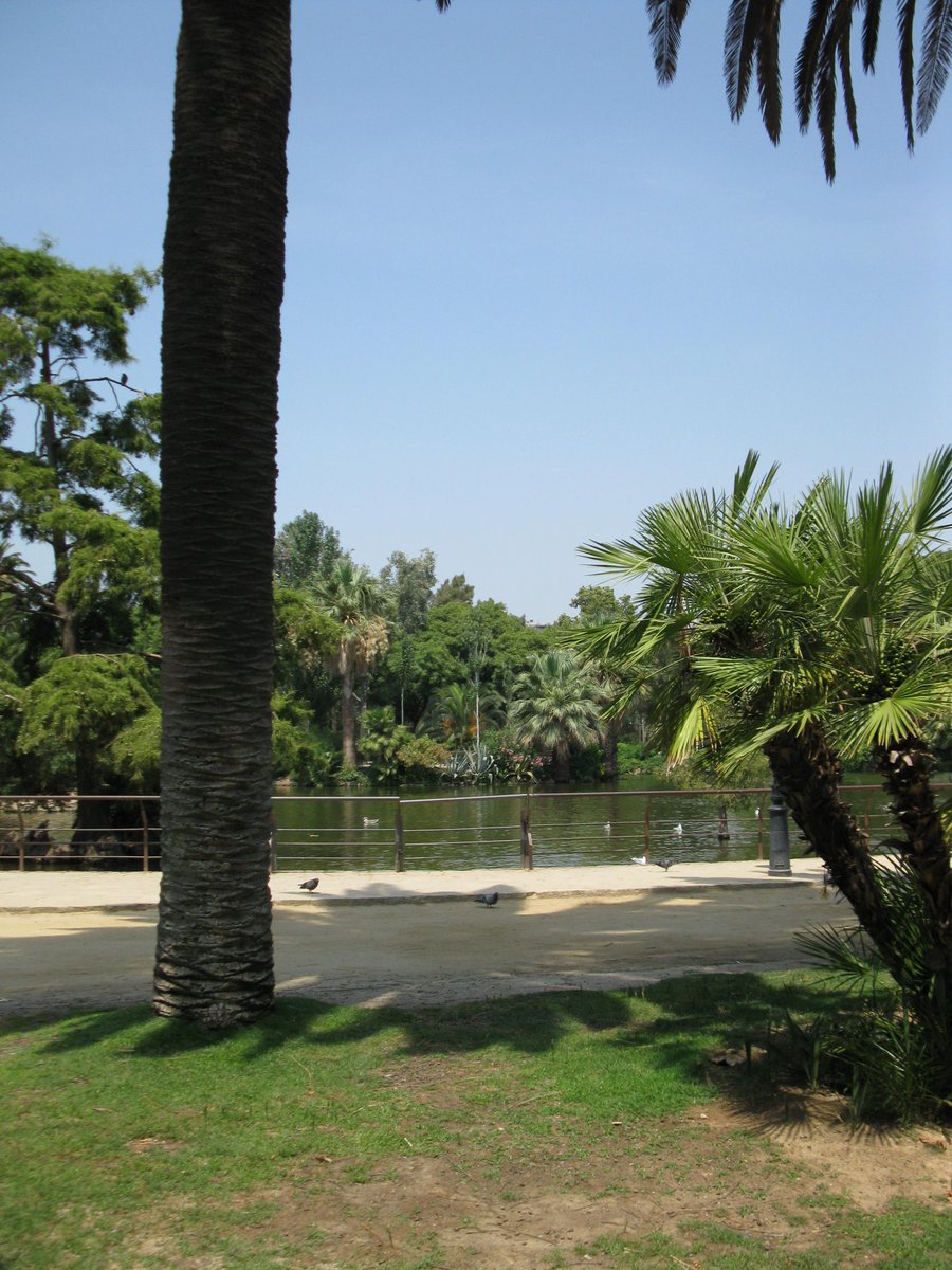 5 tips and tricks to encourage sustainable tourism in Barcelona goodgoal.org/2018/03/12/sus… #barcelona #sustainabletourism #sustainabletravel #overtourism #ecotravel